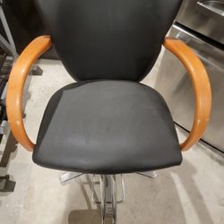 Salon Chair