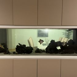 385 Gallon Aquarium 