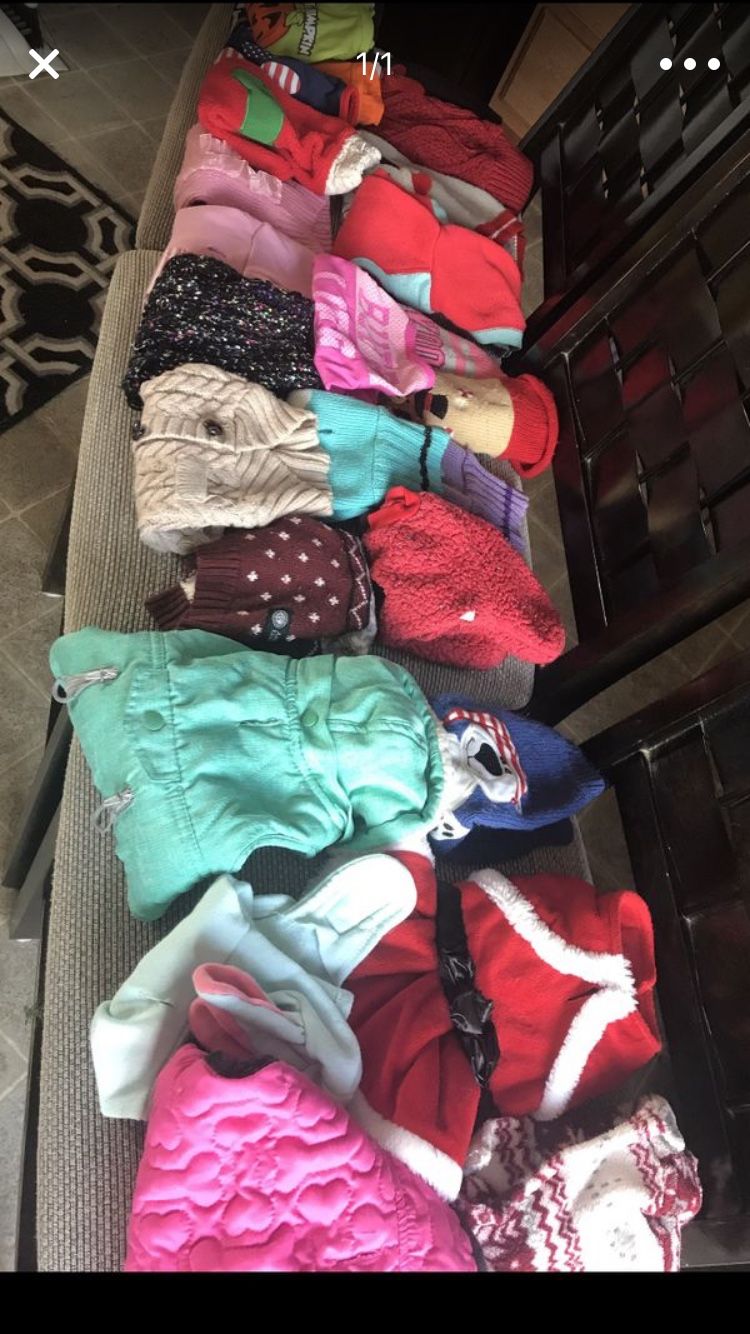 Assorted dog clothes