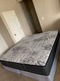 KING SEALY MATTRESS AND FREE BOX SPRINGS