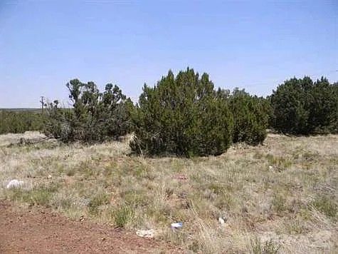 LAND /LAKE Property ,1/3 of an ACER ,(by Owner) Water And Power To Lot. Paved Road