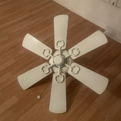 Ceiling Fan!