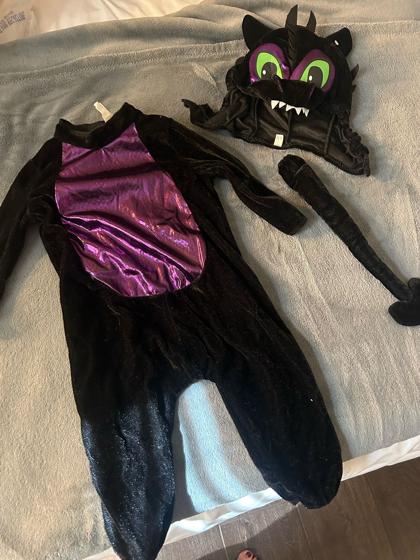 Baby Dragon Costume