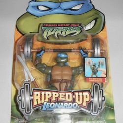 Teenage Mutant Ninja Turtles Action Figure 