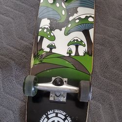 Cruiser Skateboard 