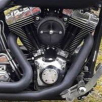 04 Softail Engine And Tranny 