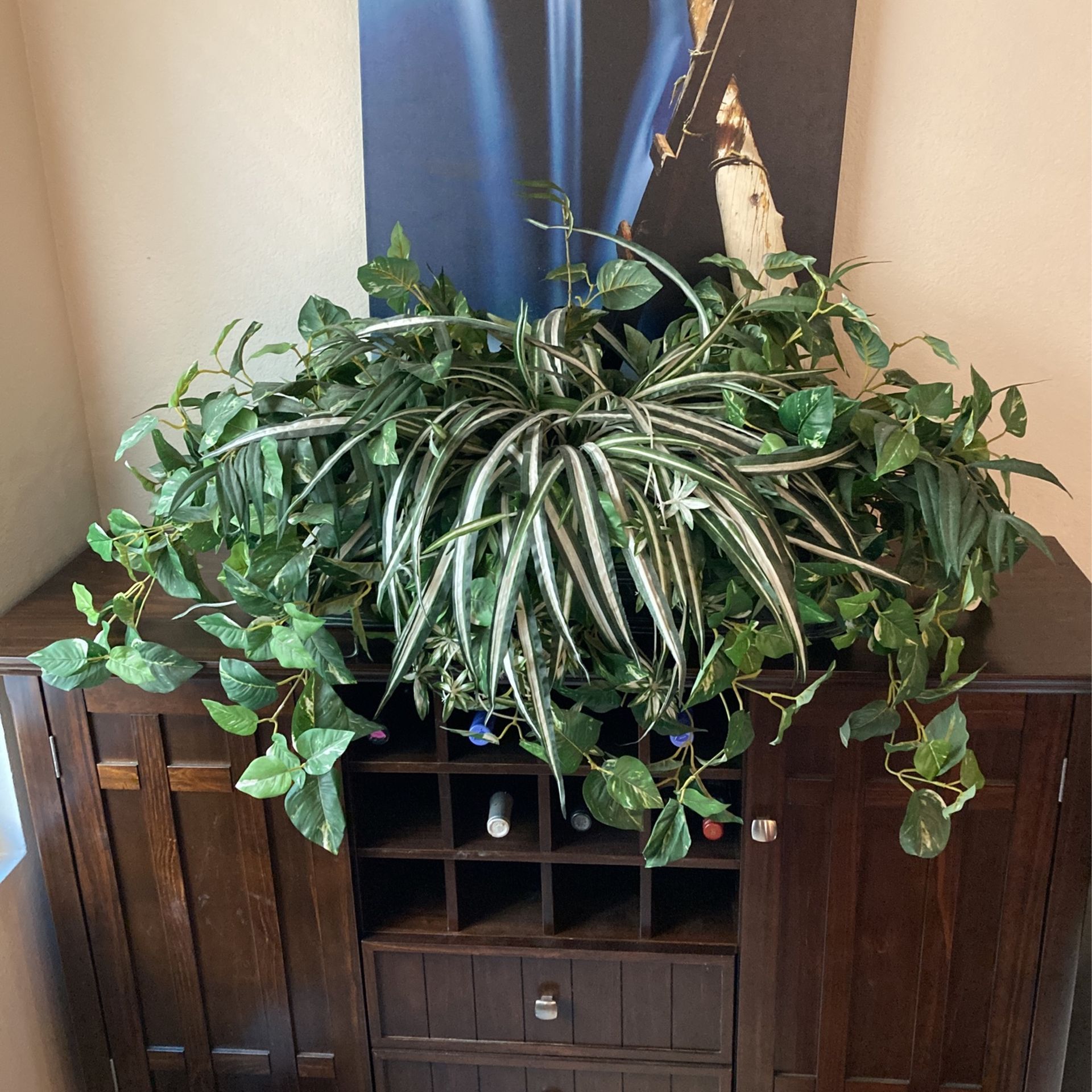 Large Decorative Plant In Holder