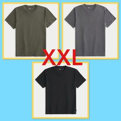 Hollister Men Tshirts