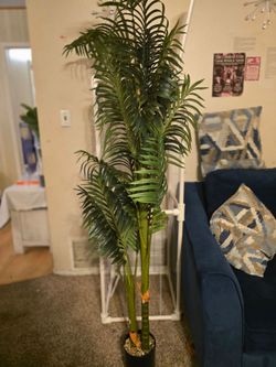 6ft  Fake Golden Cane Palm Tree with double  Trunks new