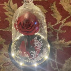 Mothers Day Gifts , Rose In Dome , Musical Box