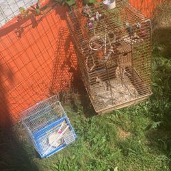 Free Bird Houses 