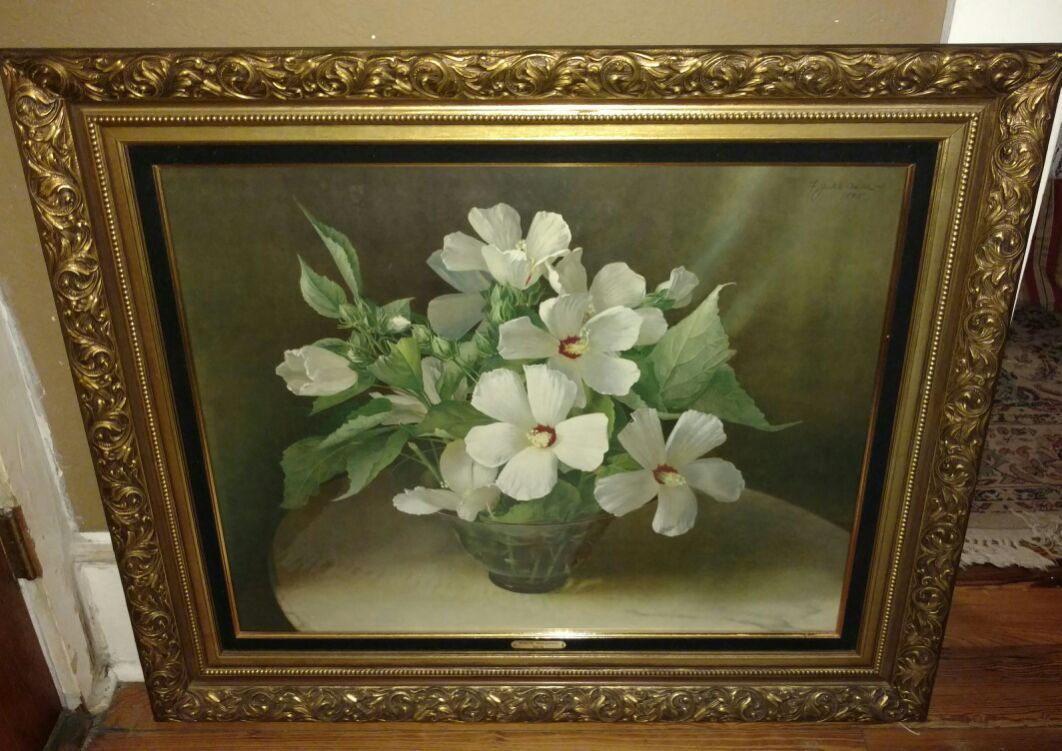 Turner White Mallows Picture