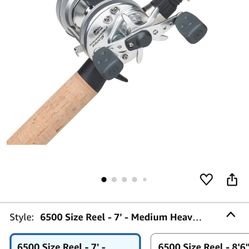 Fishing Rod And Reels