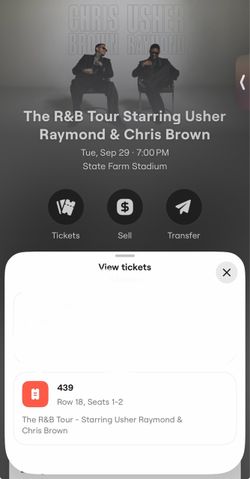 The R&B tour Usher Chris Brown