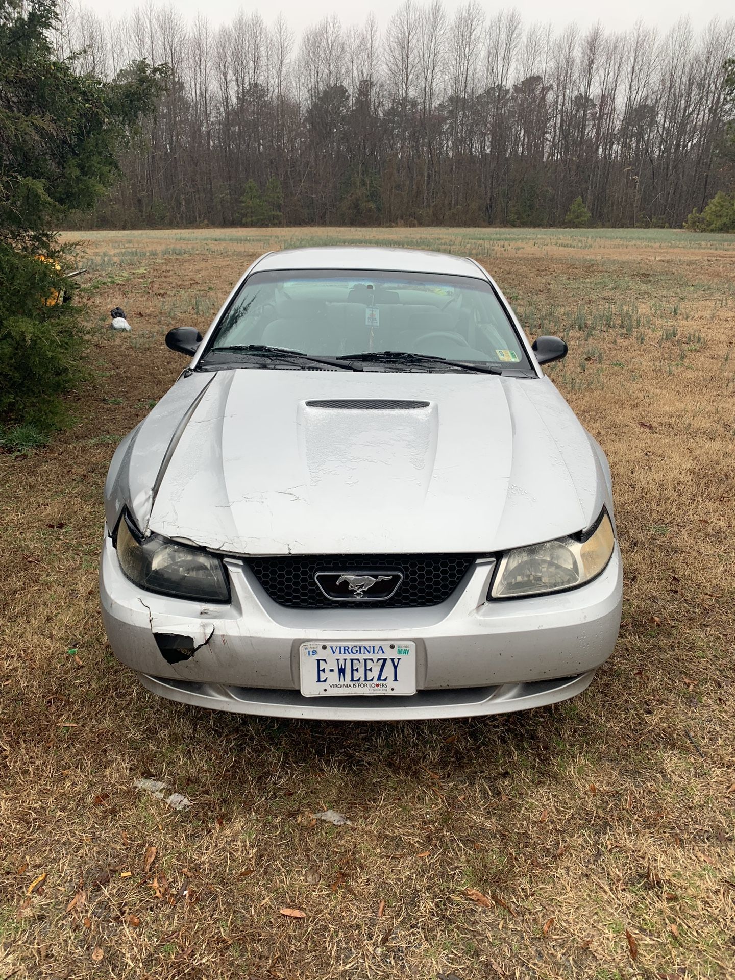 2000 Ford Mustang