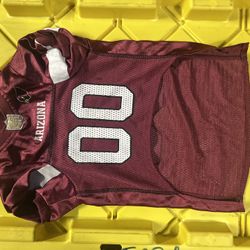 Cardinals dog clothes, jerseys boy, and girl