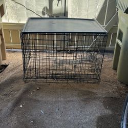 Dog Kennel 