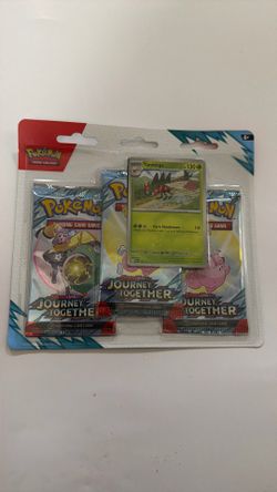 Pokémon journey together