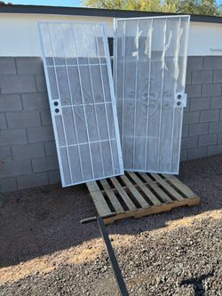 Security door