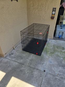 Dog Kennel