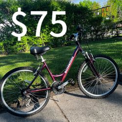 Ladies / Women’s Comfort Cruiser Bike