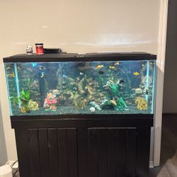 Beautiful Fish Tank 45 Gallon 