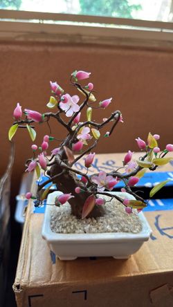 Japan jade/glass cherry blossom small tree