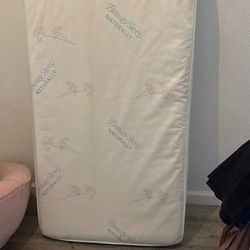 Beauty sleep crib mattress
