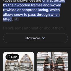 Vintage pair of snowshoes