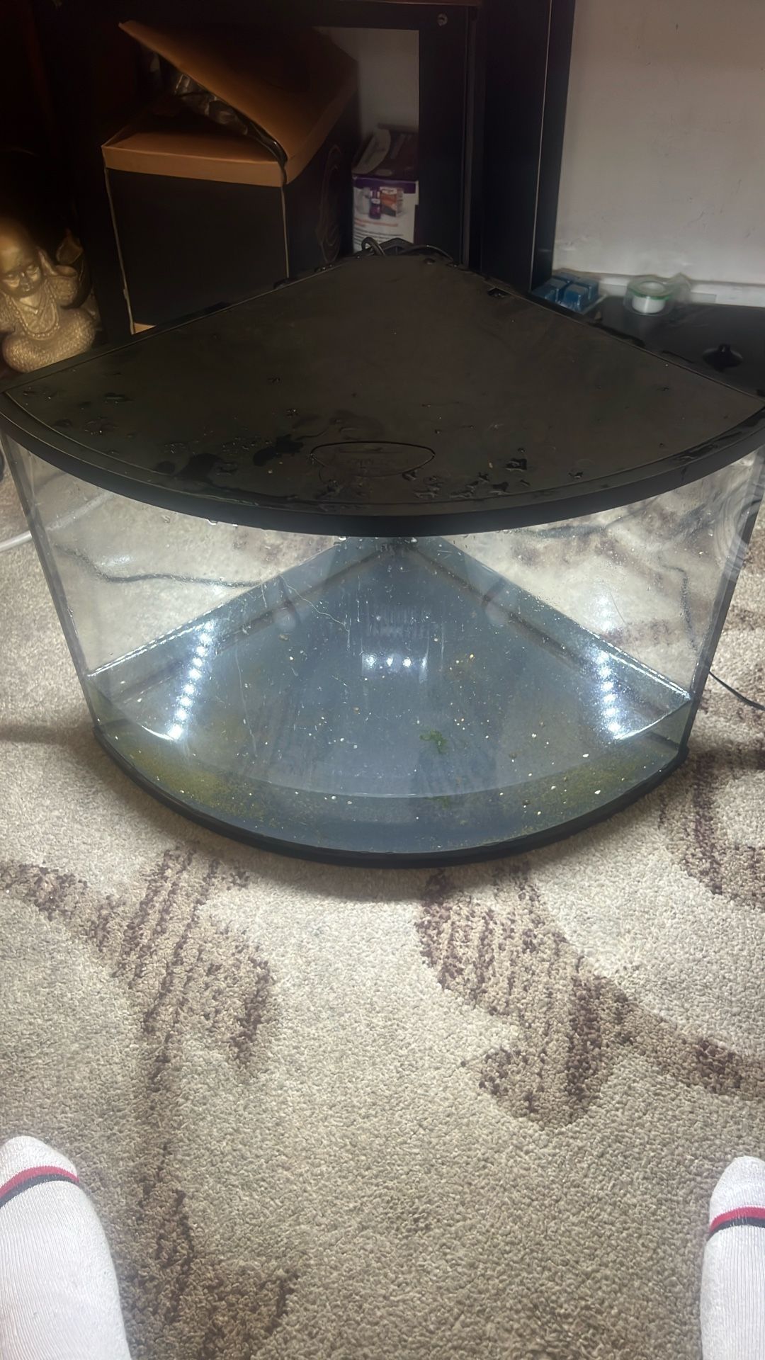 Fish Tank 20$ Firm 