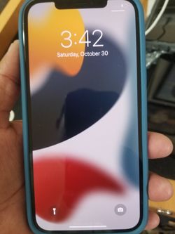 12 pro max 512 gigs