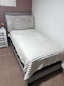 Bed frame and box spring