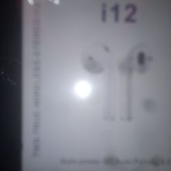 iPhone 12 Earbuds 