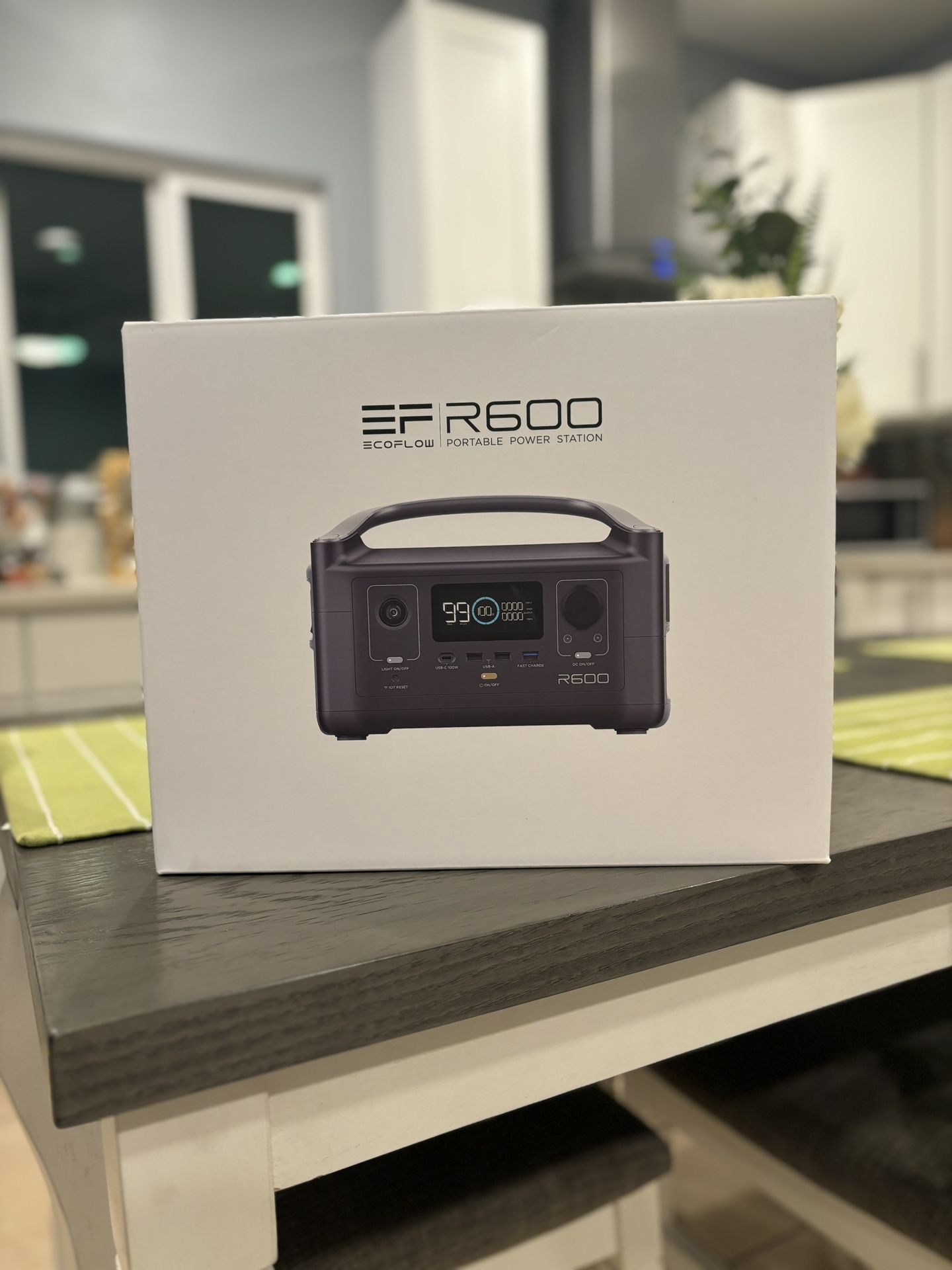 eco flowR600 portable generator 