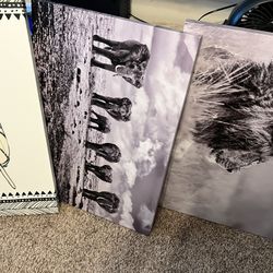 Canvas $20 Each Or All 3 For $50