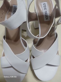 Steve madden