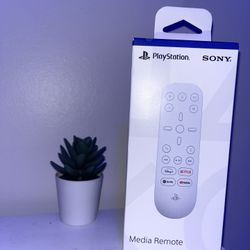 PS5 Remote control