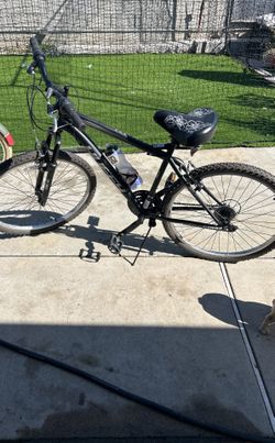 Women’s Mountain Bike