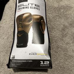 Boxing Gloves - Everlast Pro Style Elite Glove With EverShield 