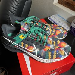 pegasus 38 jordan moss