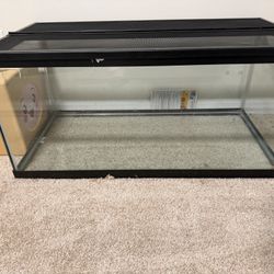 3ft Tank