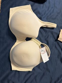 NWT lane Bryant Bra