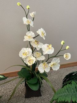 Decor flowers