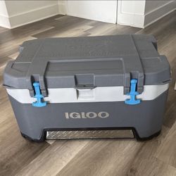 Igloo Cooler