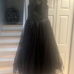 Prom/Quinceanera Dress