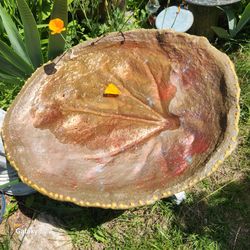 large leaf bird bath