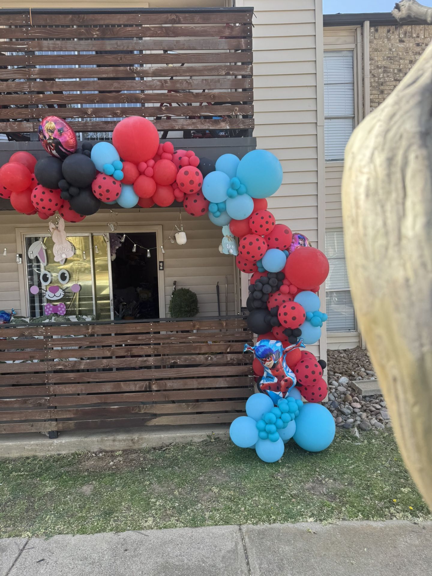 Balloon Deco