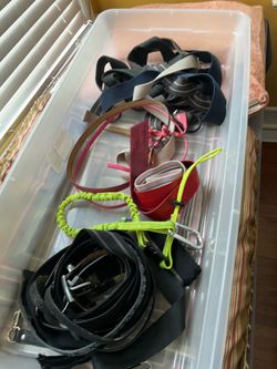 Ladies belt box lot, black, blue, gray, red, etc., with buckles Ladies belt box lot, black, blue, gray, red, etc. with