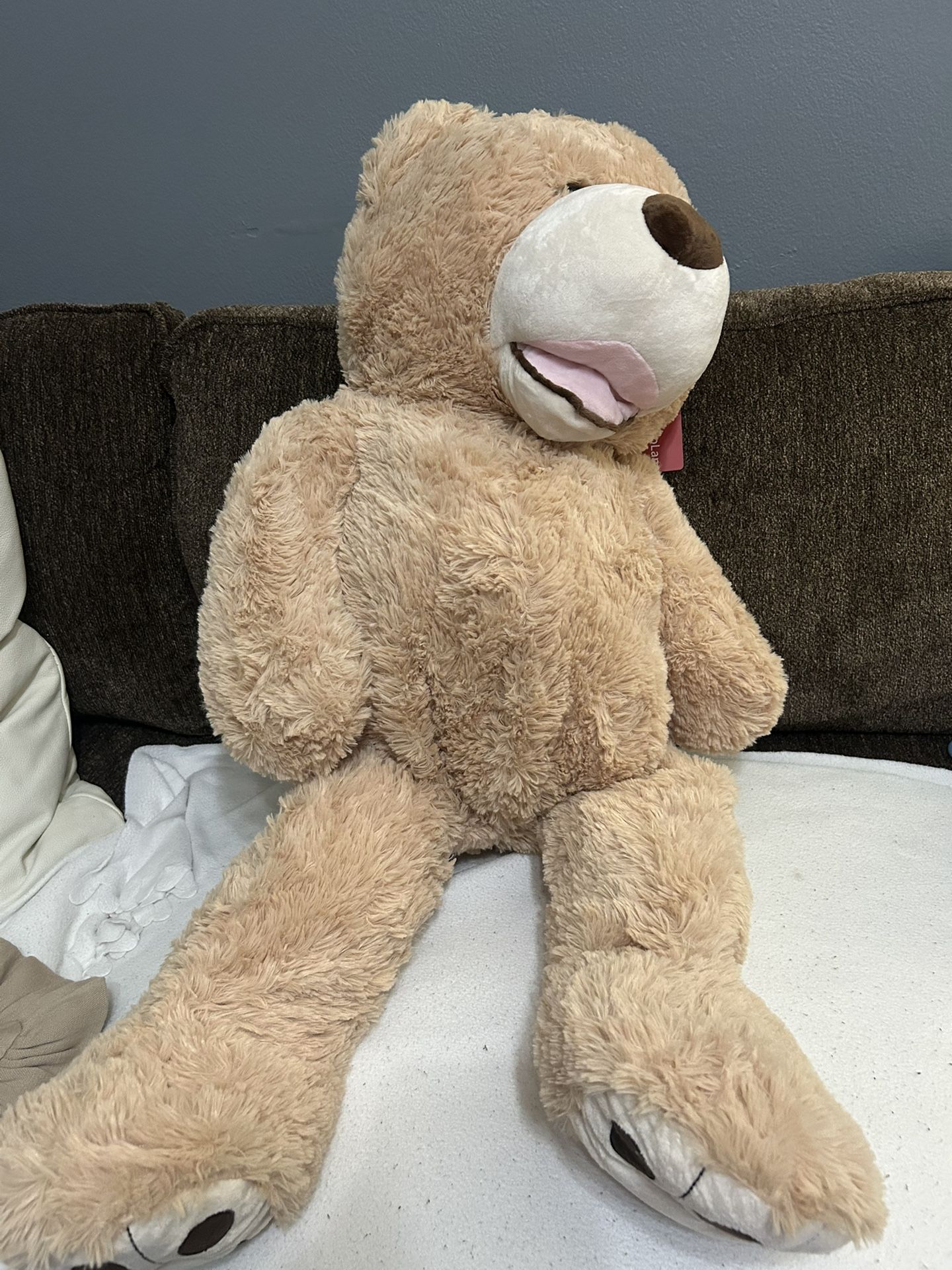New Giant Teddy Bear