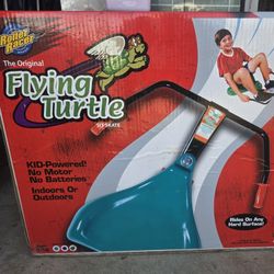 Flying.turtle